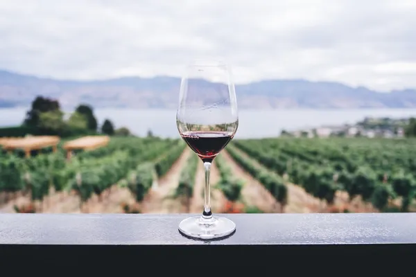 VinoVero — ERP Enterprise per Enoteca Multi-Location