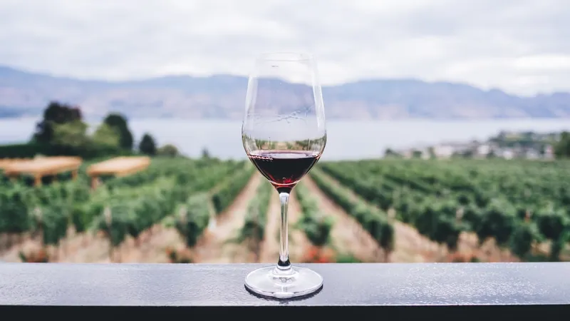 VinoVero — ERP enterprise per enoteca multi-location con AI wine recognition